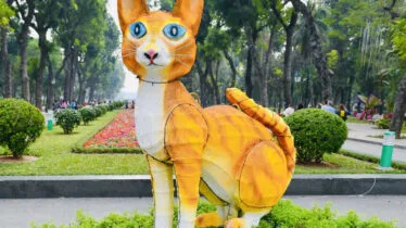 也过农历春节的越南，为何不过兔年而用这动物取代？