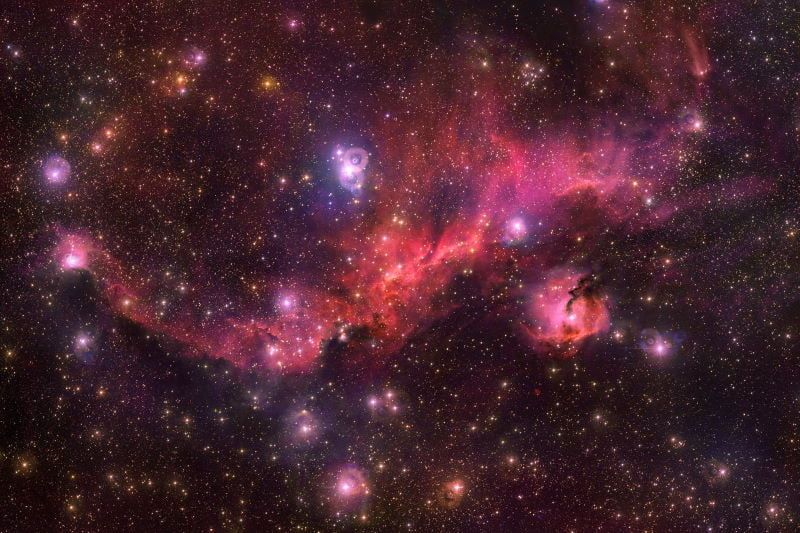 100光年にわたるバラ色のカモメ星雲 グローバルニュース
