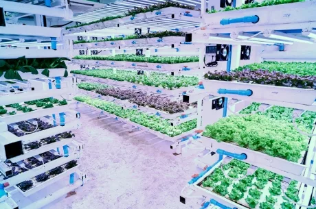 区块链技术  推动农业粮食体系转型